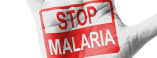 Malaria Awareness Slogans